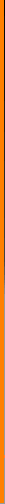 nylus002009.gif