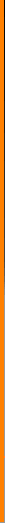 nylus013006.gif